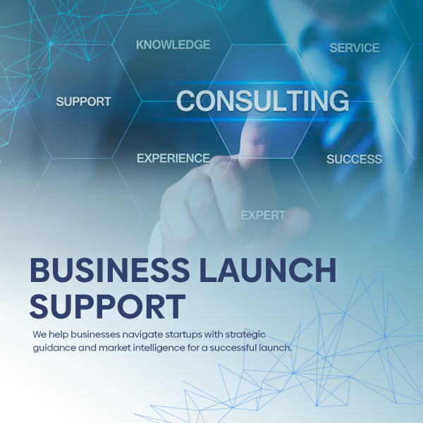 Business Launch Support